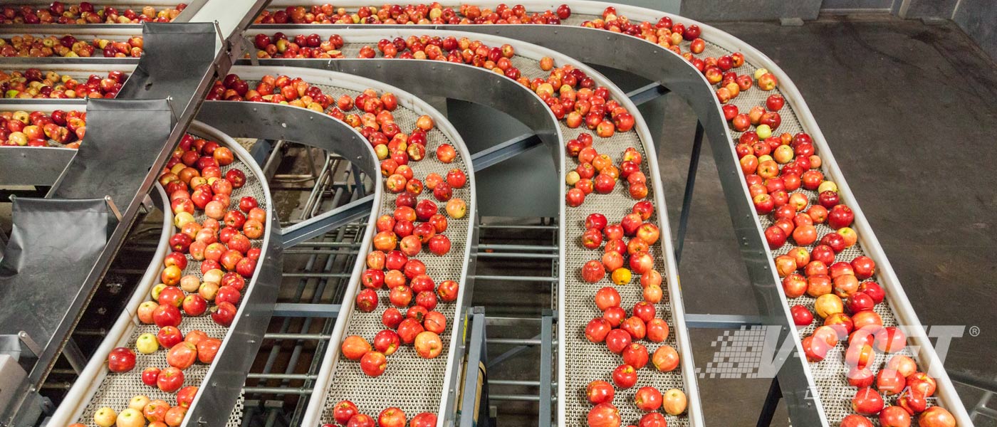 Apples move through production line that avoids food waste with IoT Technology